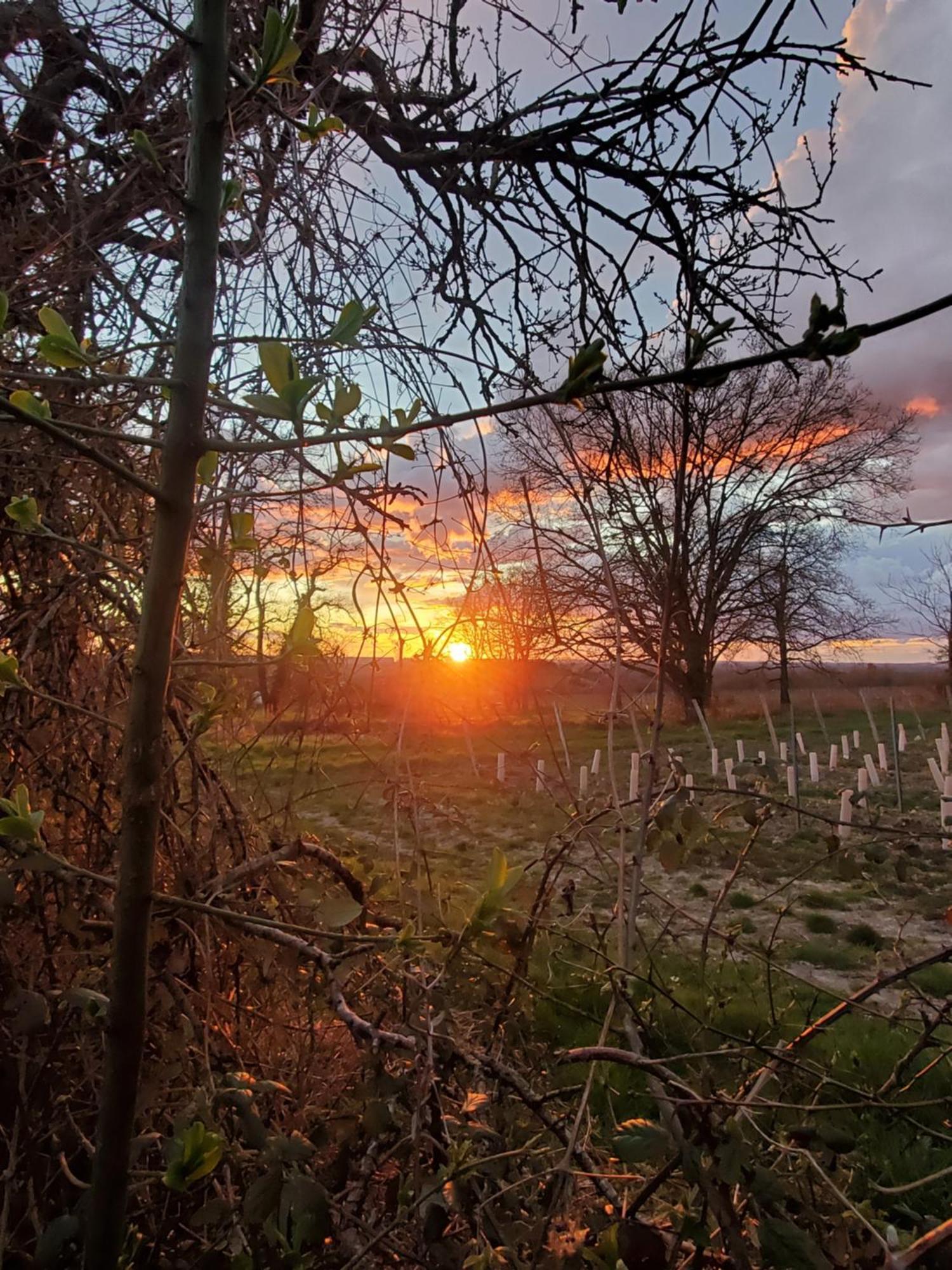 Gite Au Coeur De La Touraine La Chapelle-sur-Loire Buitenkant foto
