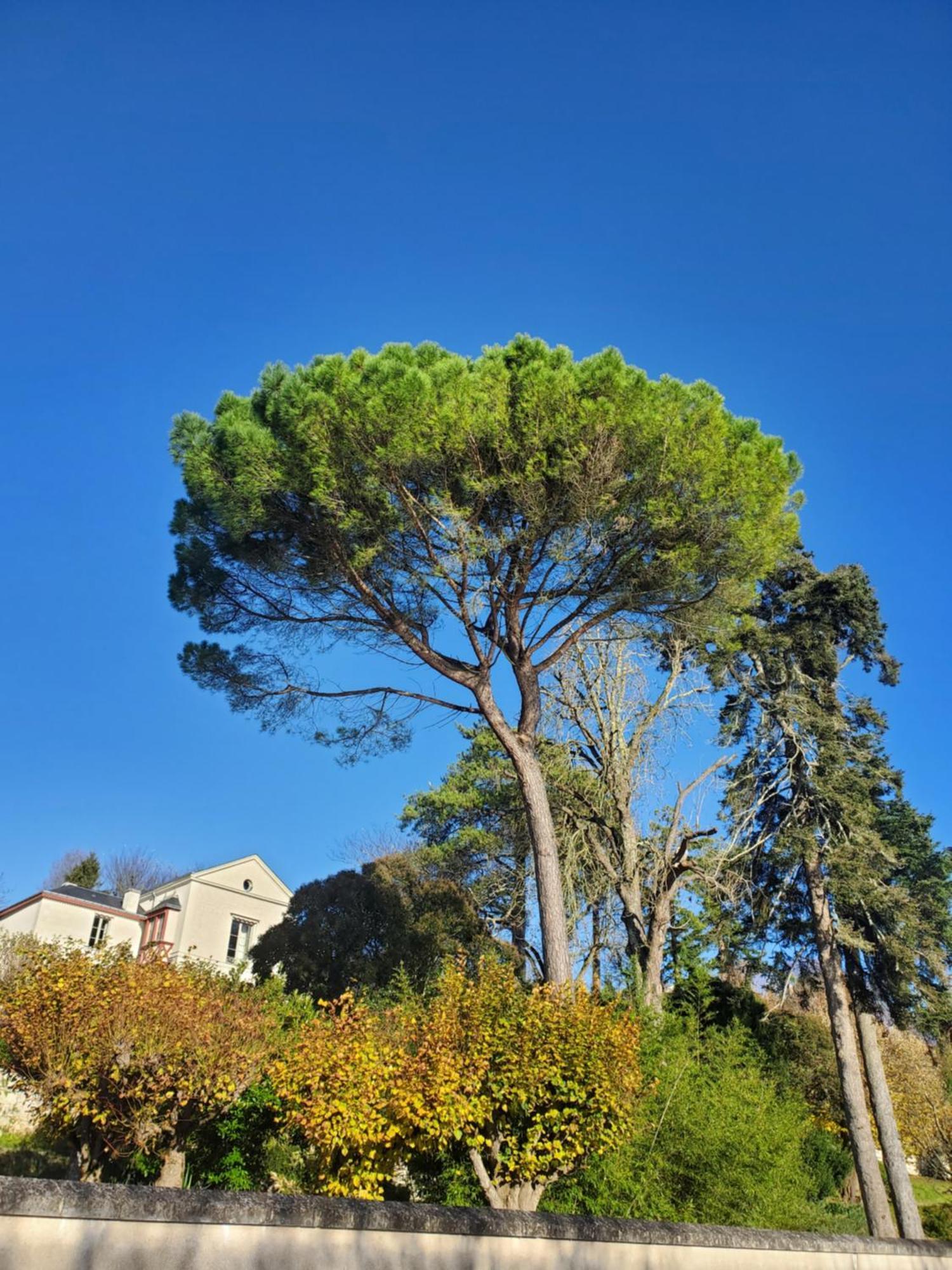 Gite Au Coeur De La Touraine La Chapelle-sur-Loire Buitenkant foto