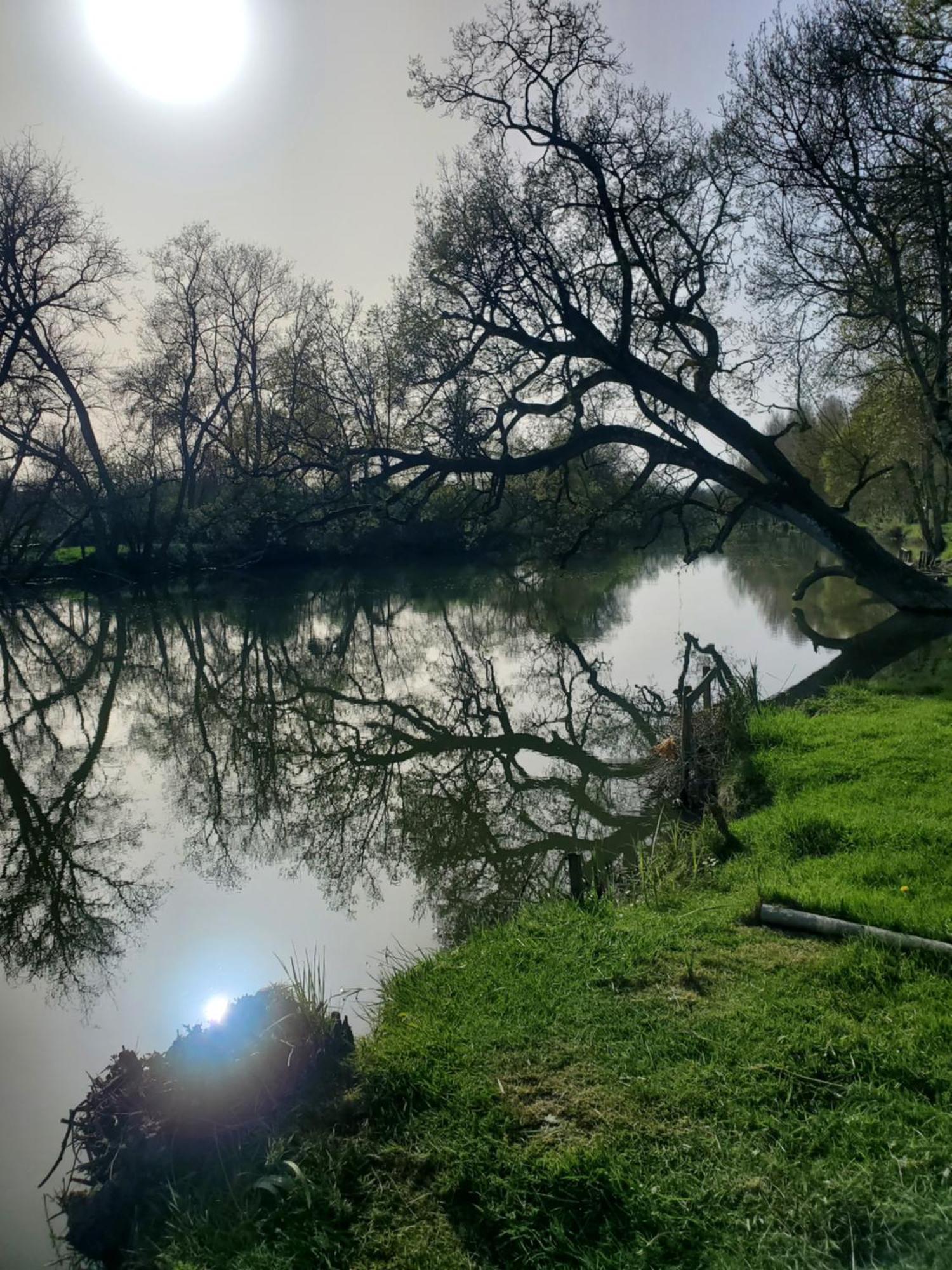 Gite Au Coeur De La Touraine La Chapelle-sur-Loire Buitenkant foto
