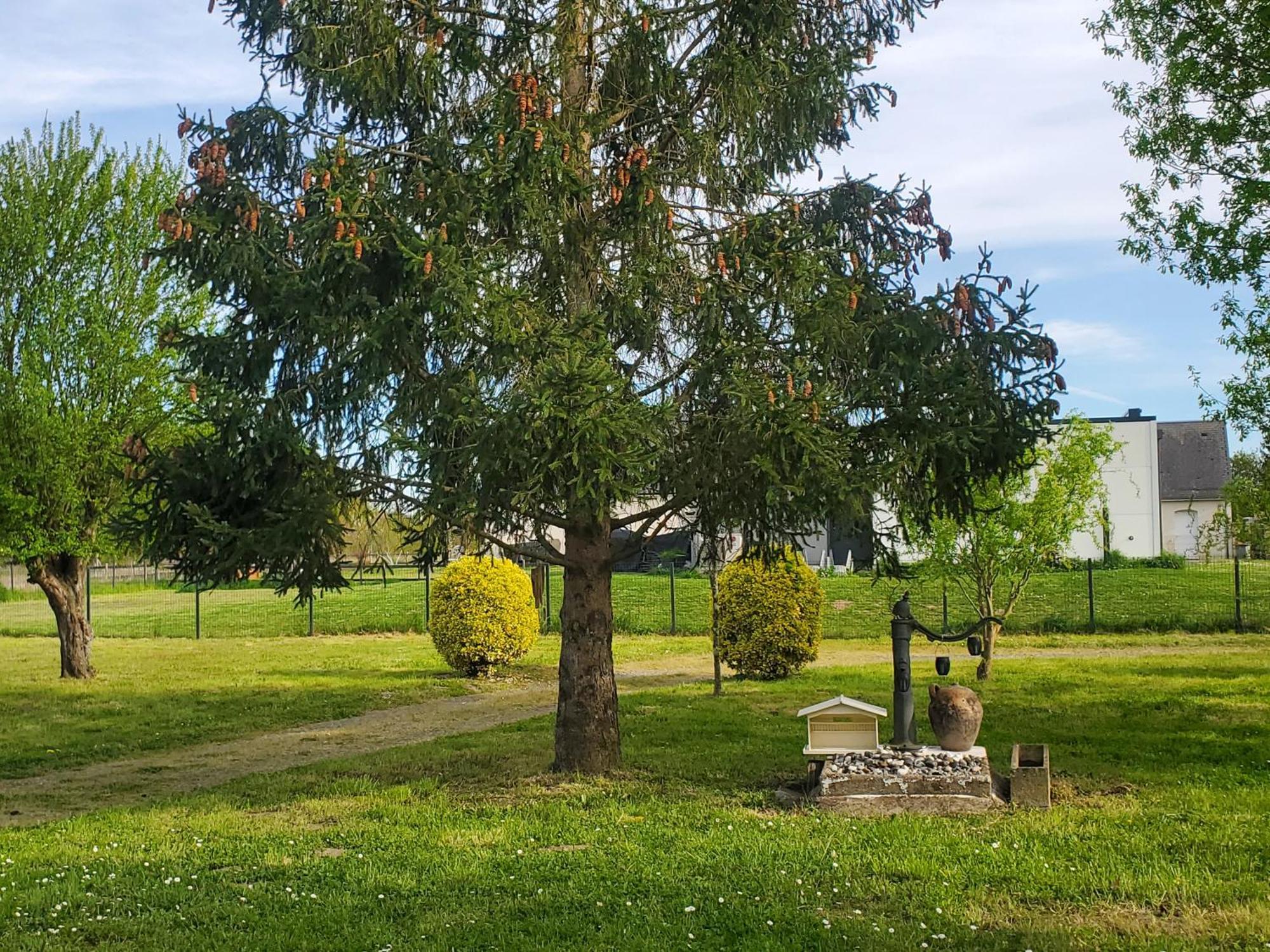 Gite Au Coeur De La Touraine La Chapelle-sur-Loire Buitenkant foto